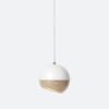 The Globe Pendant Light